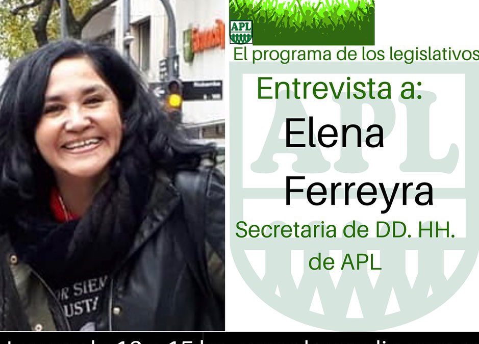 «Puertas Abiertas» recibió a Elena Ferreyra, informó la actividad de la DAS y repasó la actualidad legislativa.