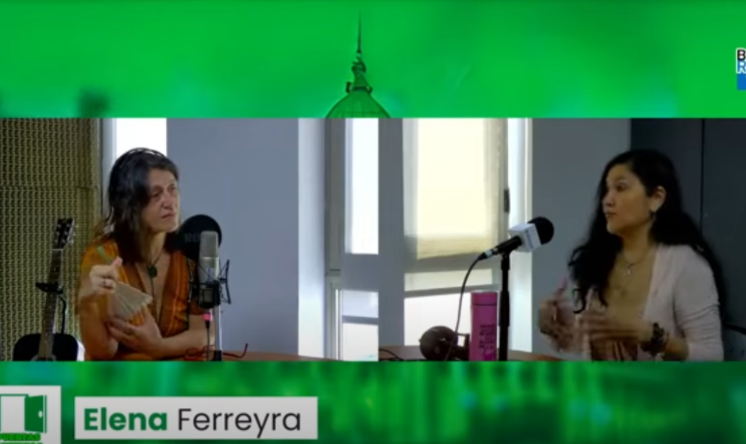 Puertas Abiertas Radio- Programa emitido el día 20/11/2024